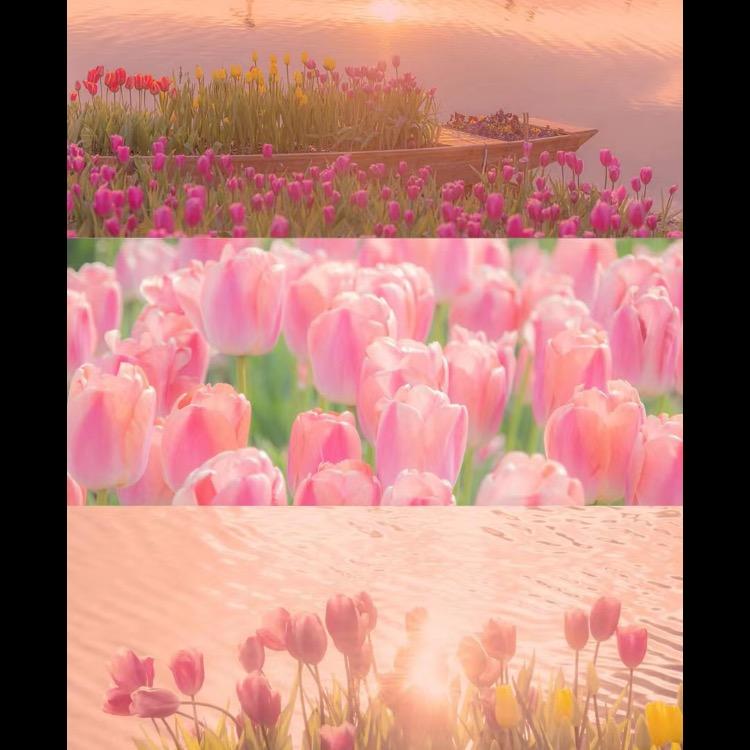 好