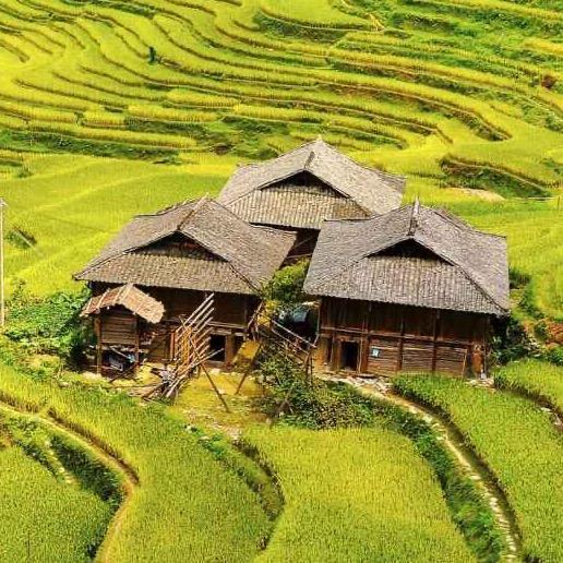 待在山里