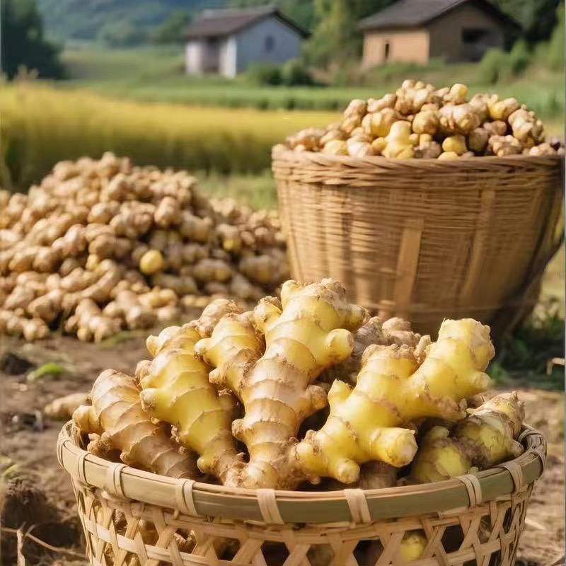 姜小铺
