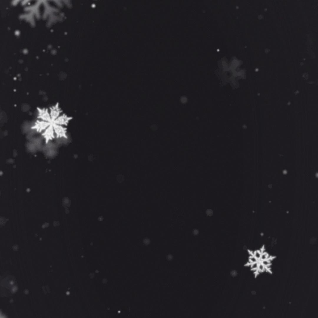 蒲东川的营基春机械臻选阁