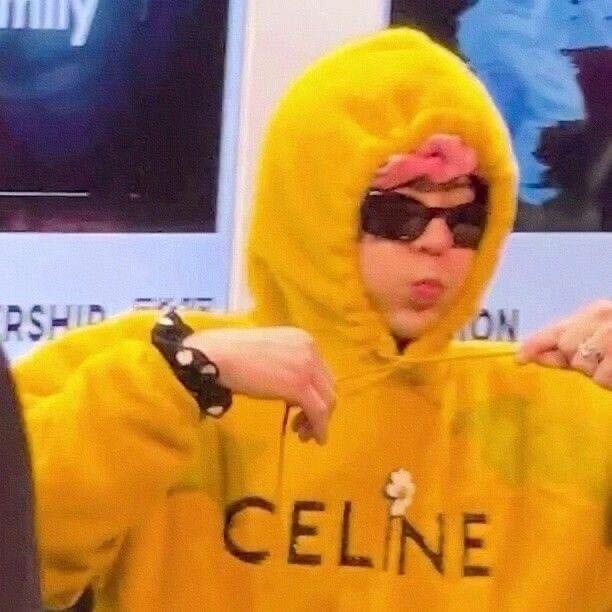 小喵在睡觉（备考执业药师）