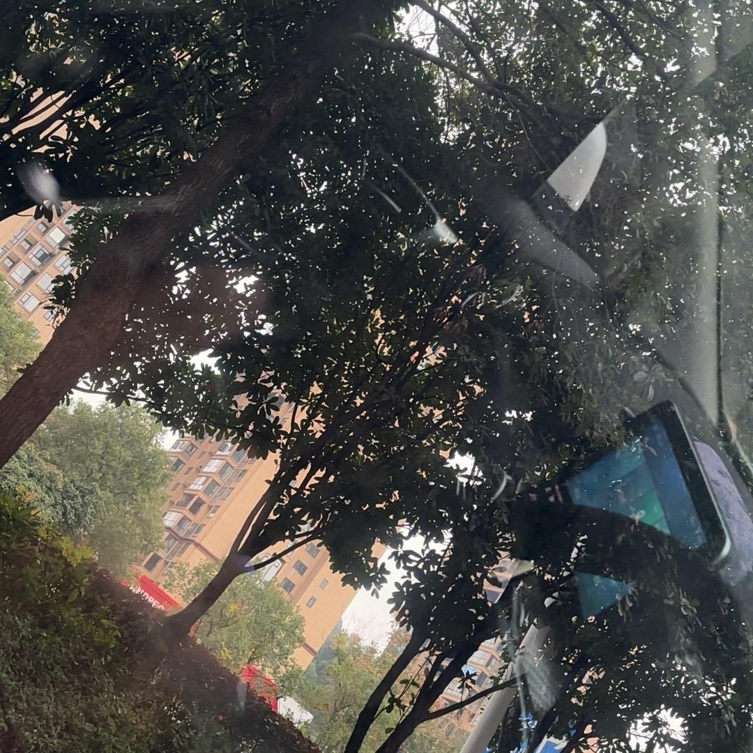 阳光