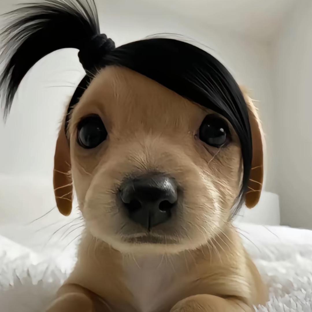 楠子汉