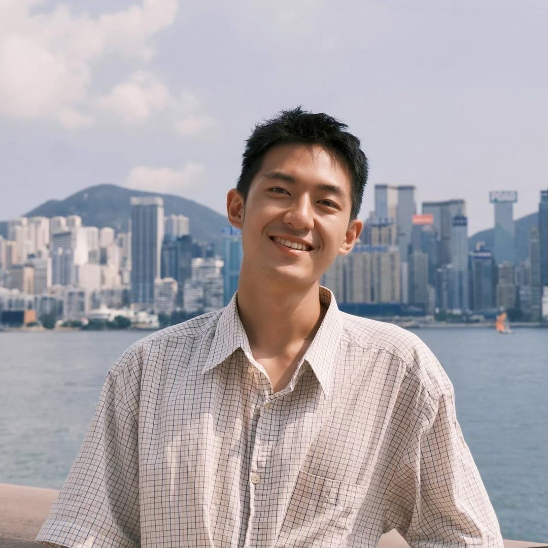 整点薯条的海鸥