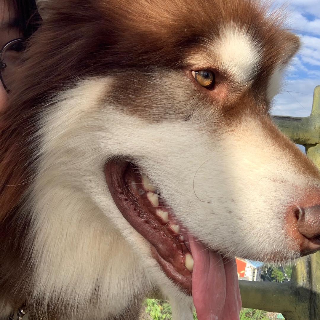 酷酷（努力中）