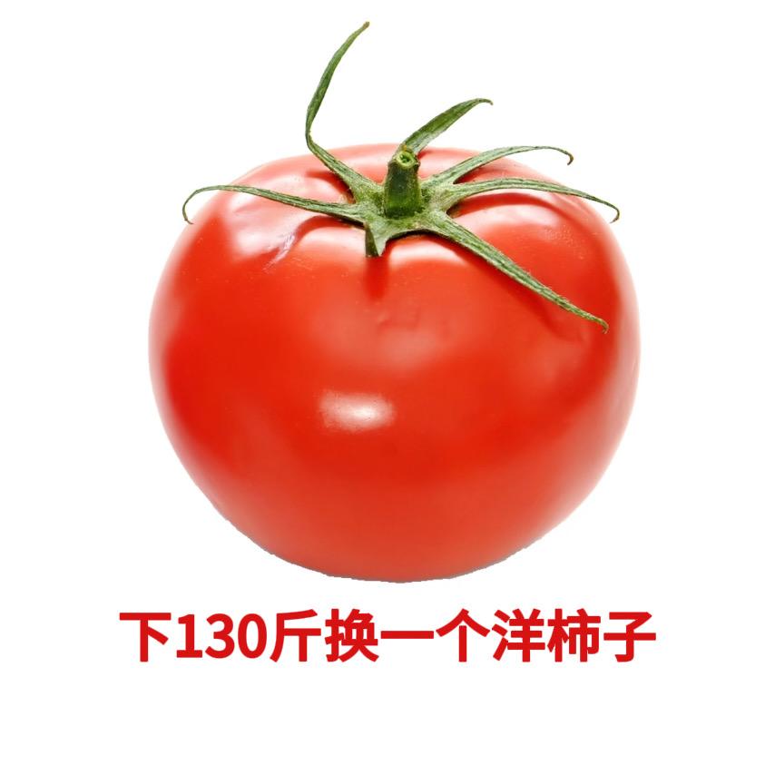 洋柿子De减肥日记