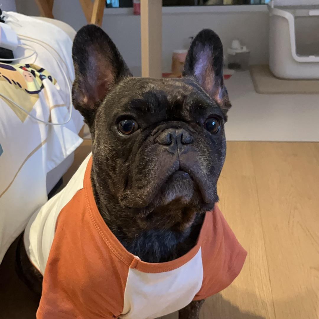 🤓