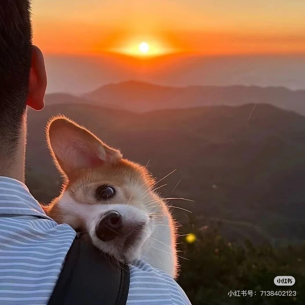 本性不坏