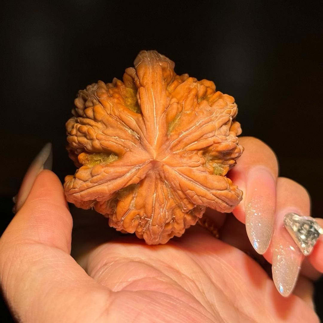 心愿核缘