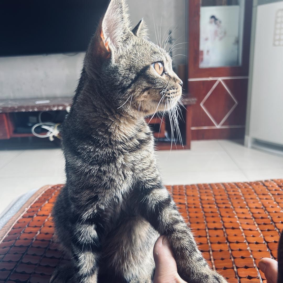 小表情
