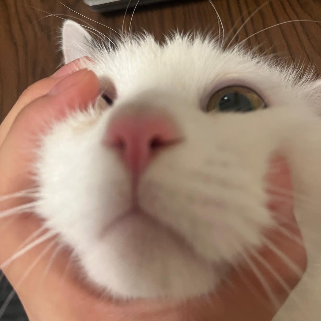 迷糊宝.
