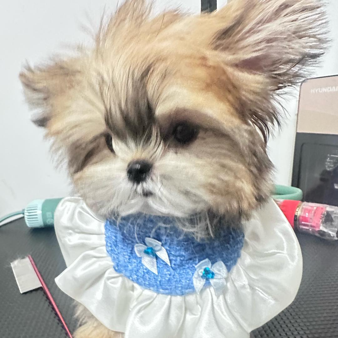 小郭（西安）