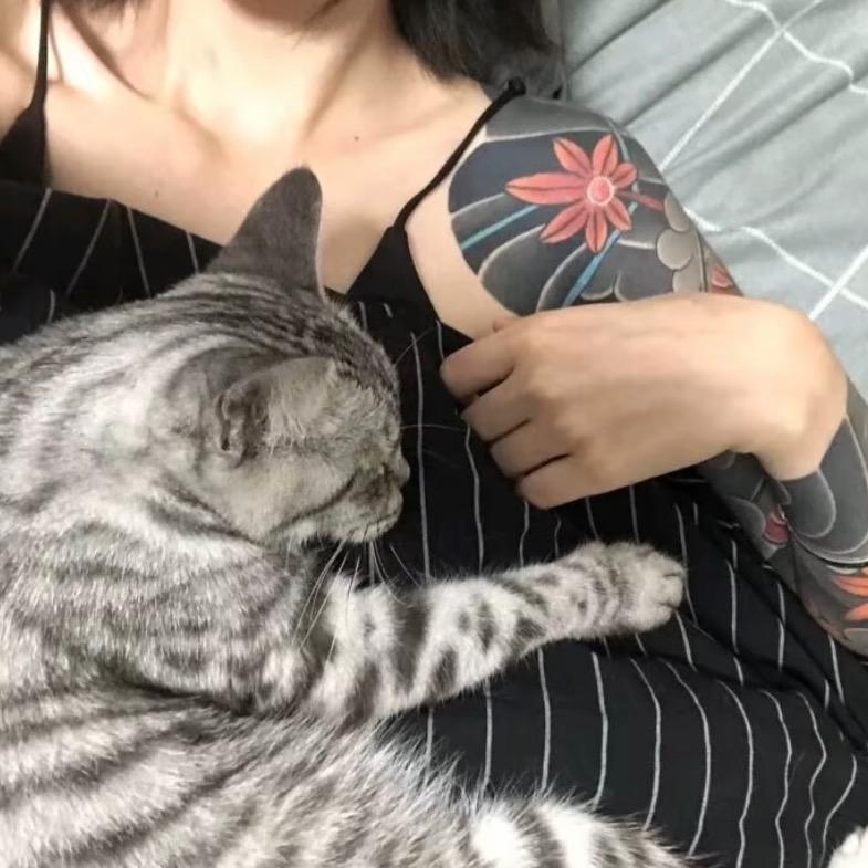 *🐰.