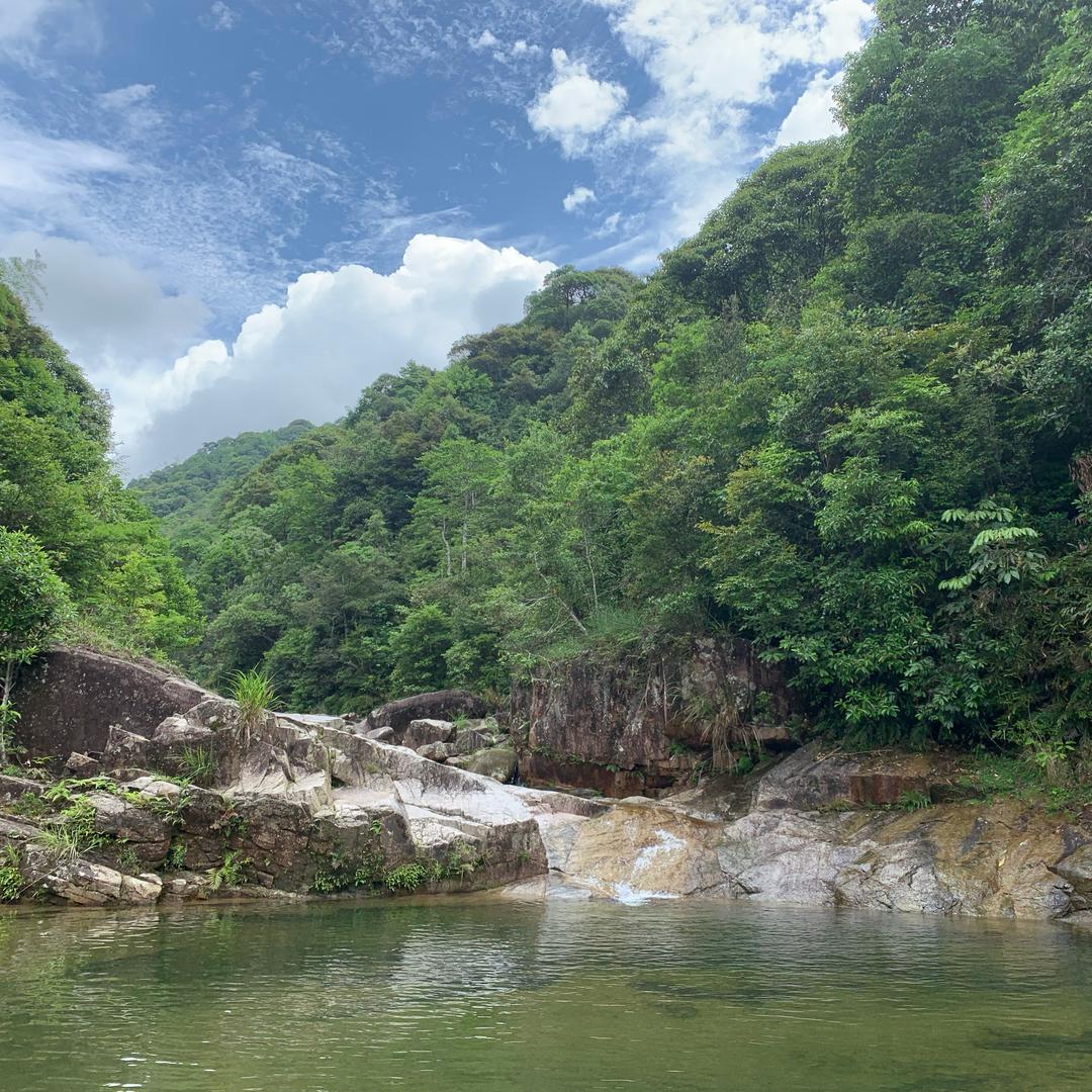 浓眉小眼睛