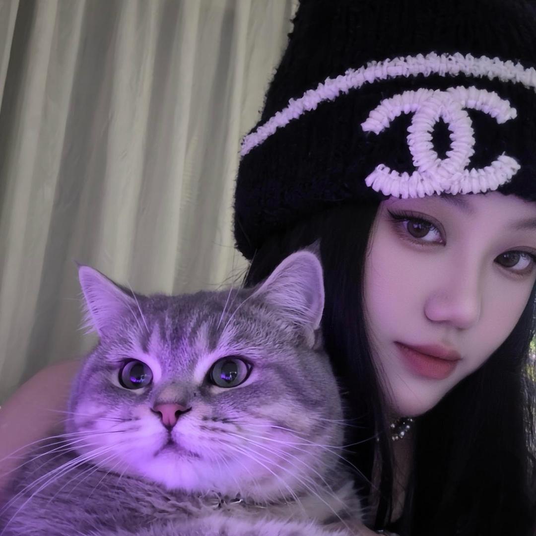 楚楚呀