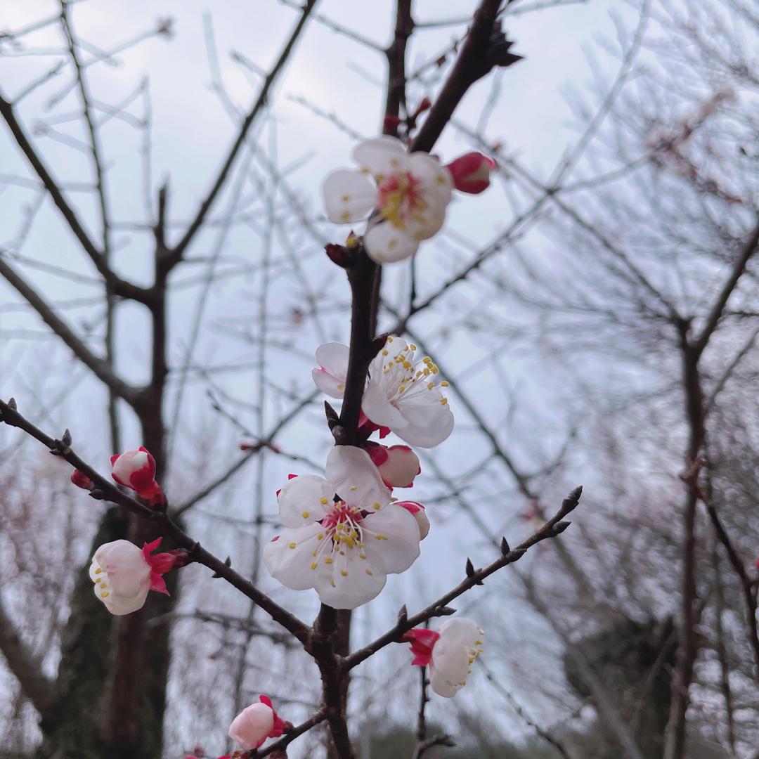 墨雨