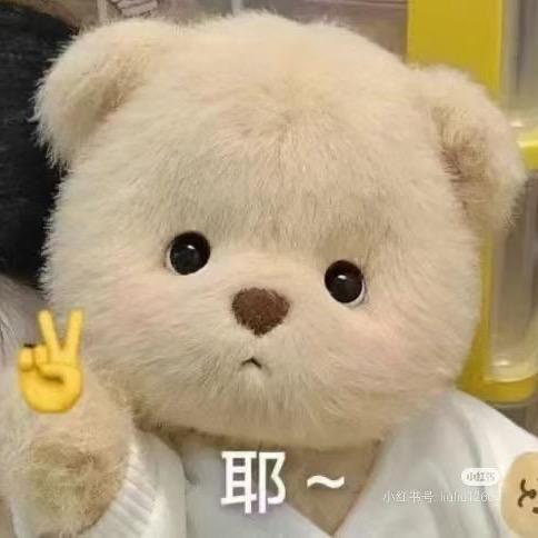 小猪乖乖