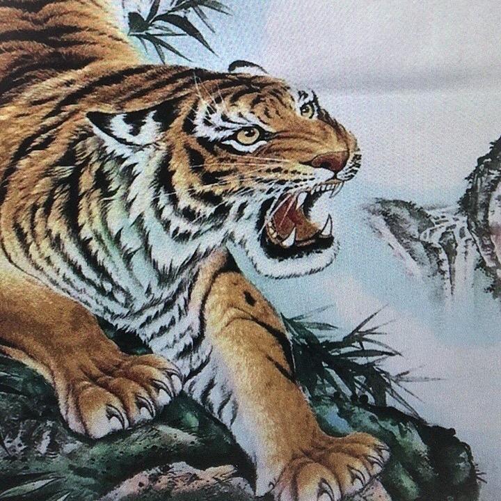 五台山说虎先生