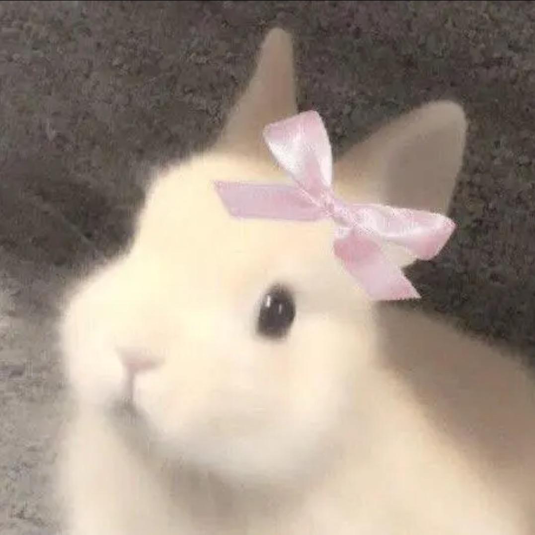 - 徐涵钰 -