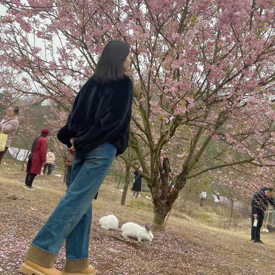 燕