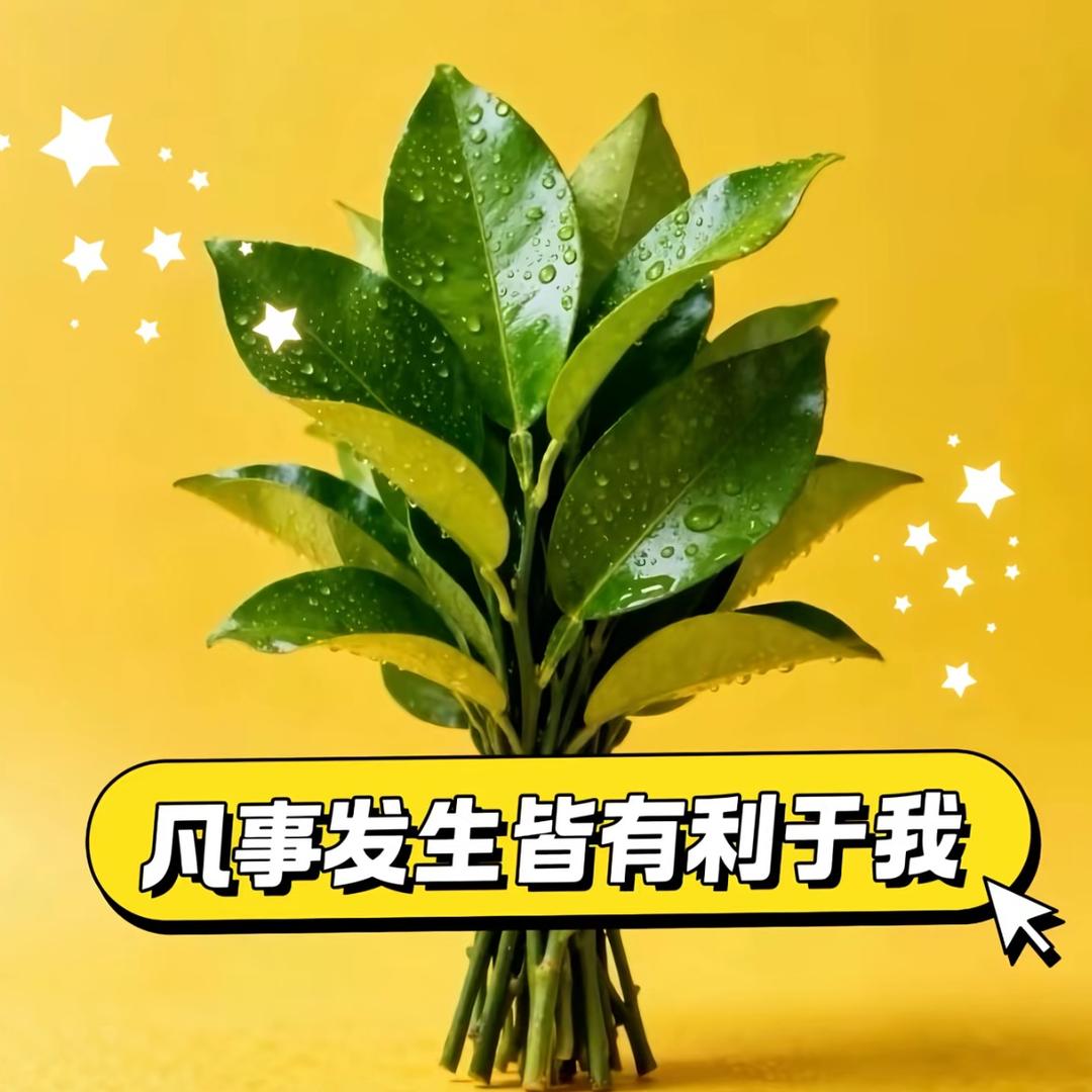 🌸喆嚞🍒卐卍🐒🐲🐭