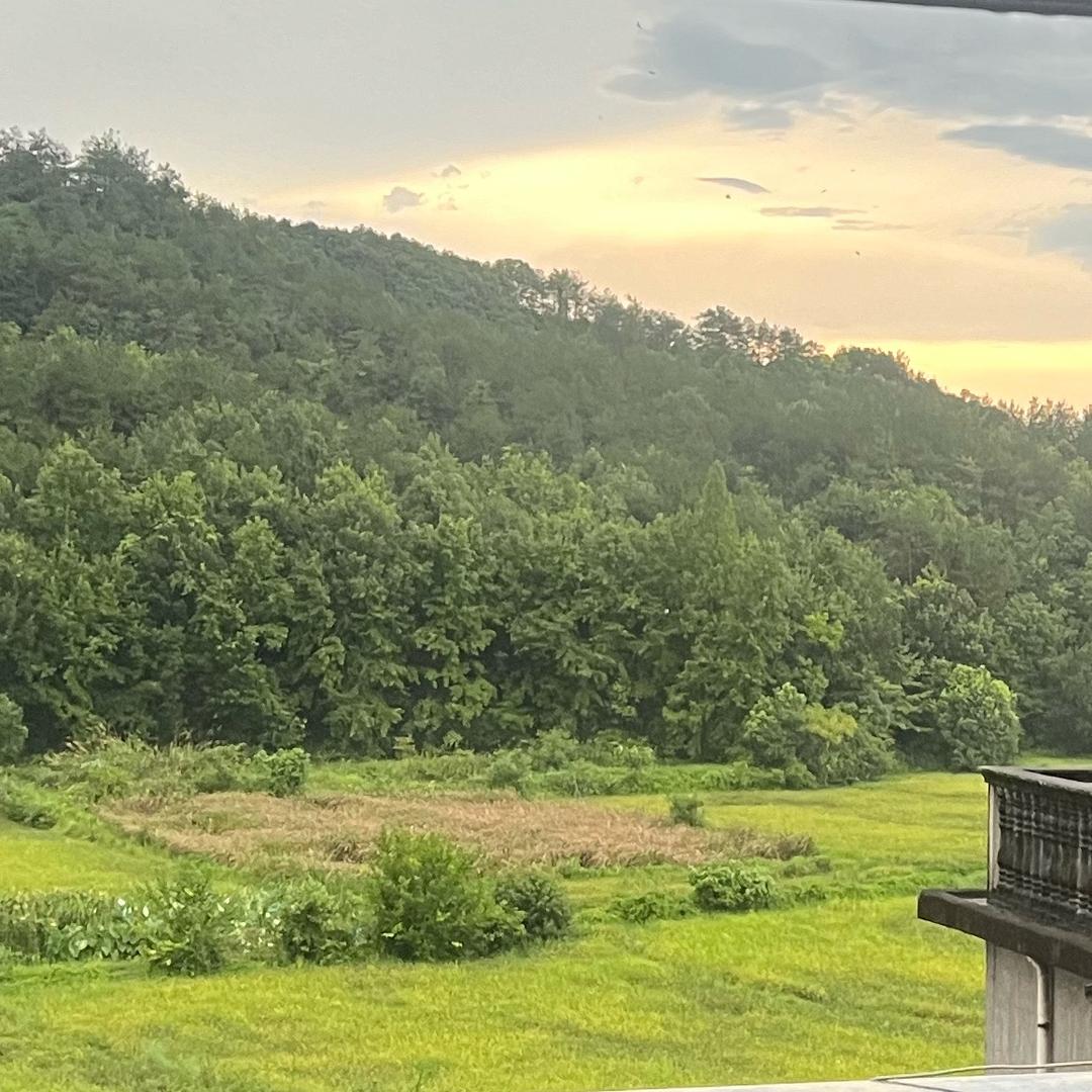 万霆喷雾器工厂店