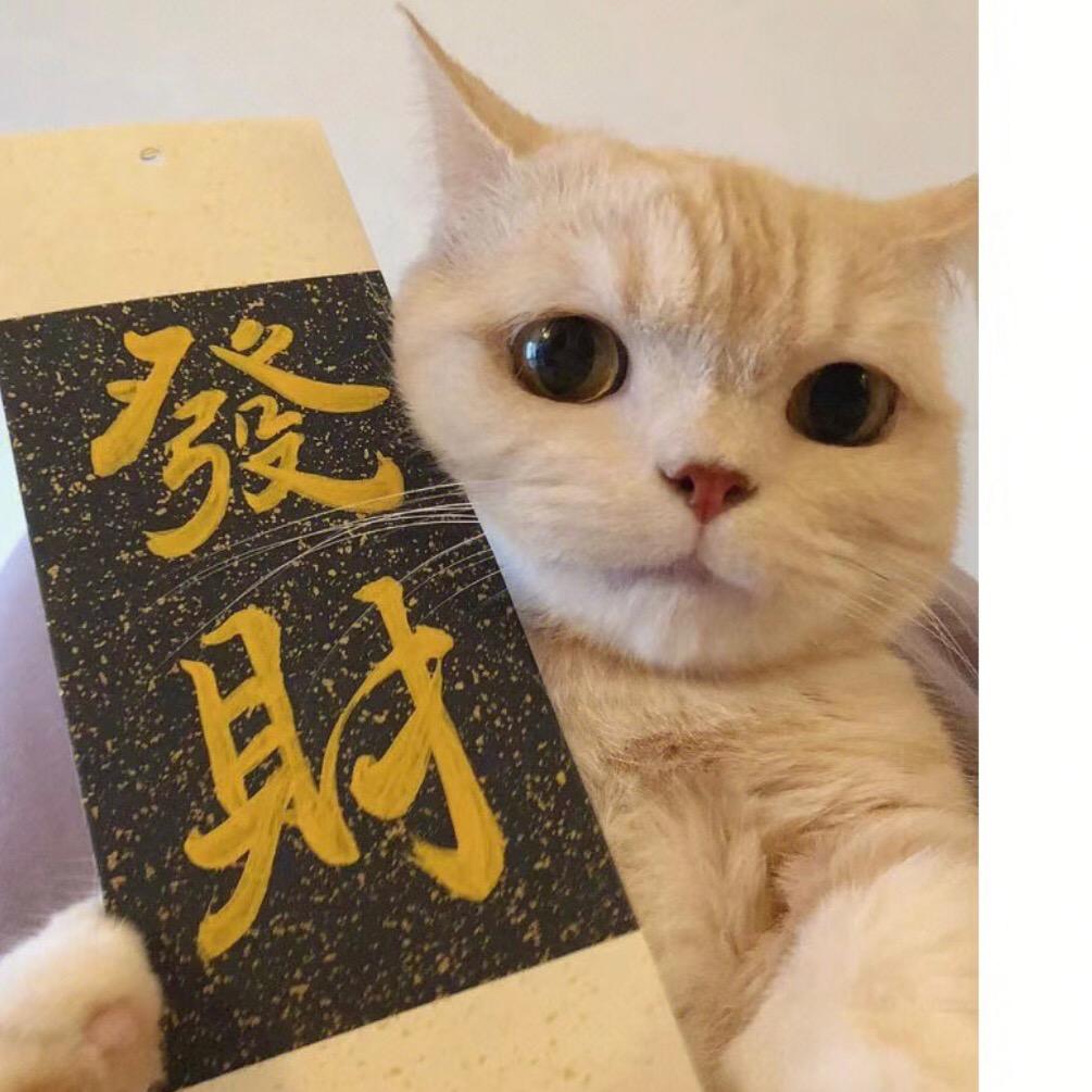 粤霏鲜花私域号。专注品质鲜花