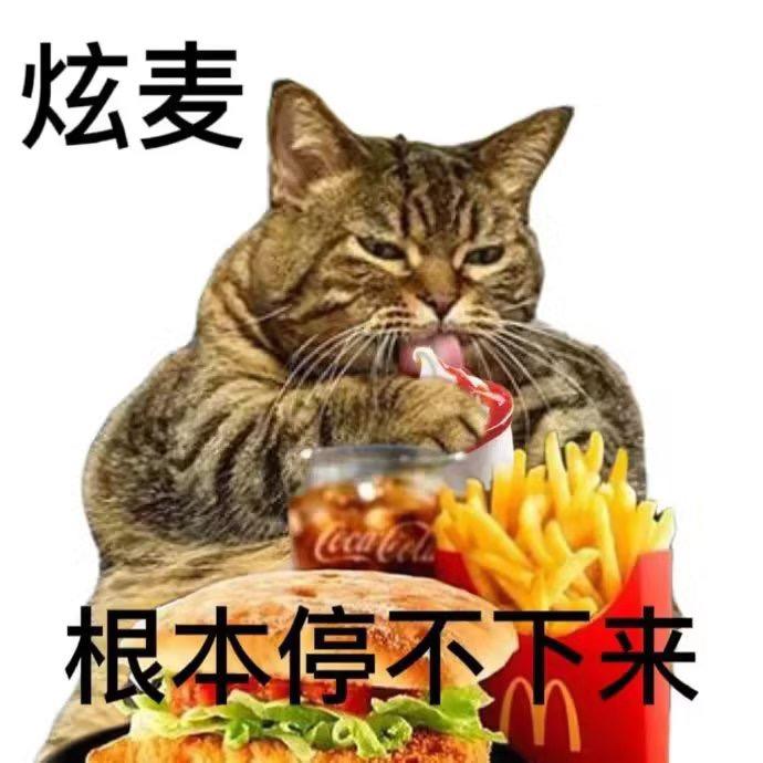vv爱吃麦当劳