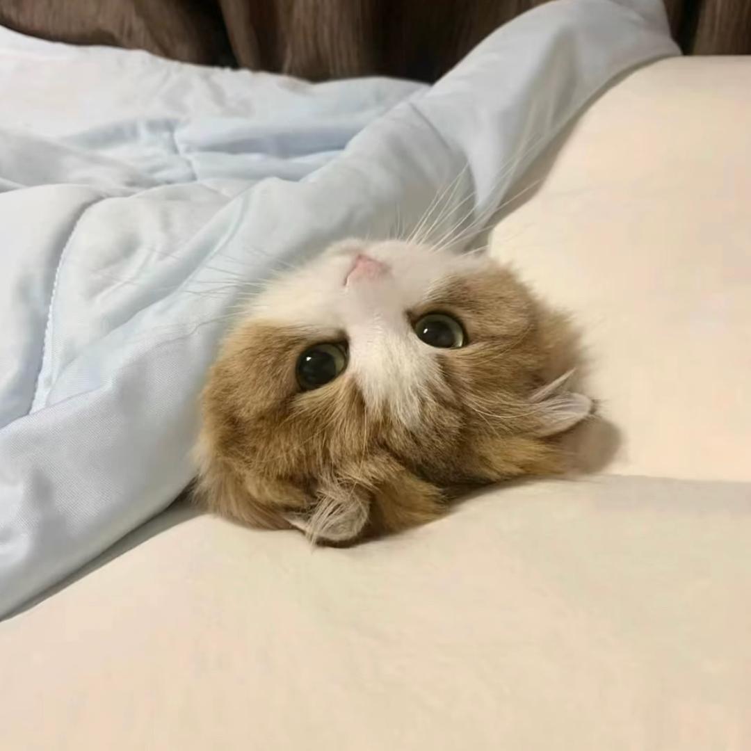 Y  .