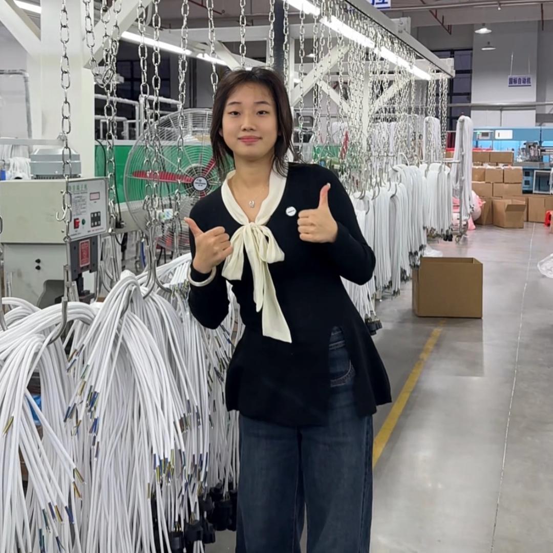 电源线源头厂家- Lili