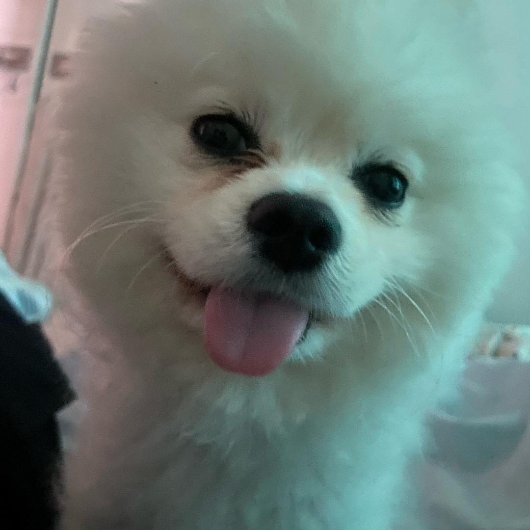浪子佛心