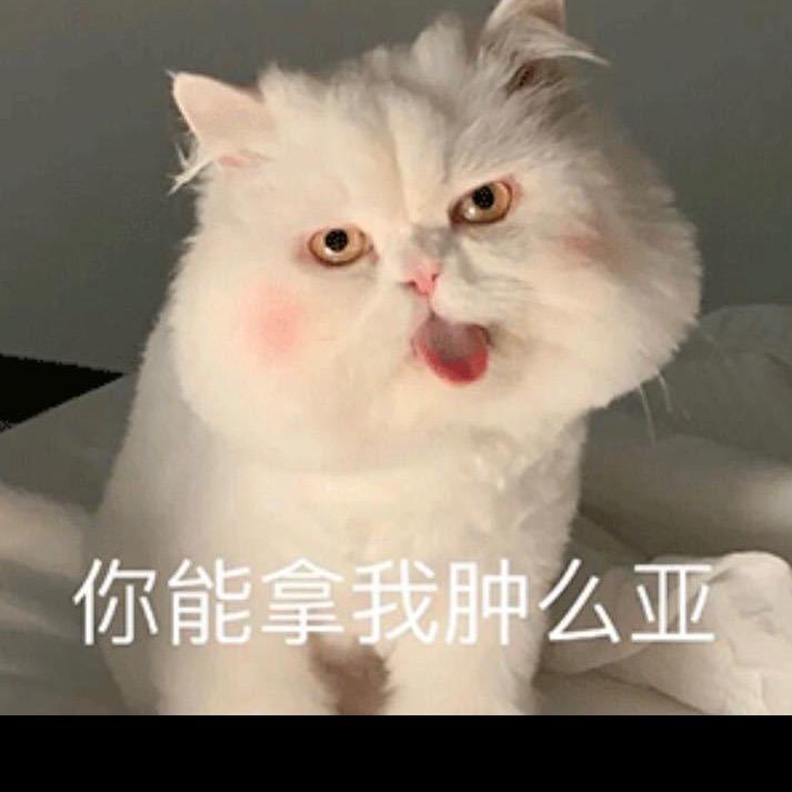 夕颜头像