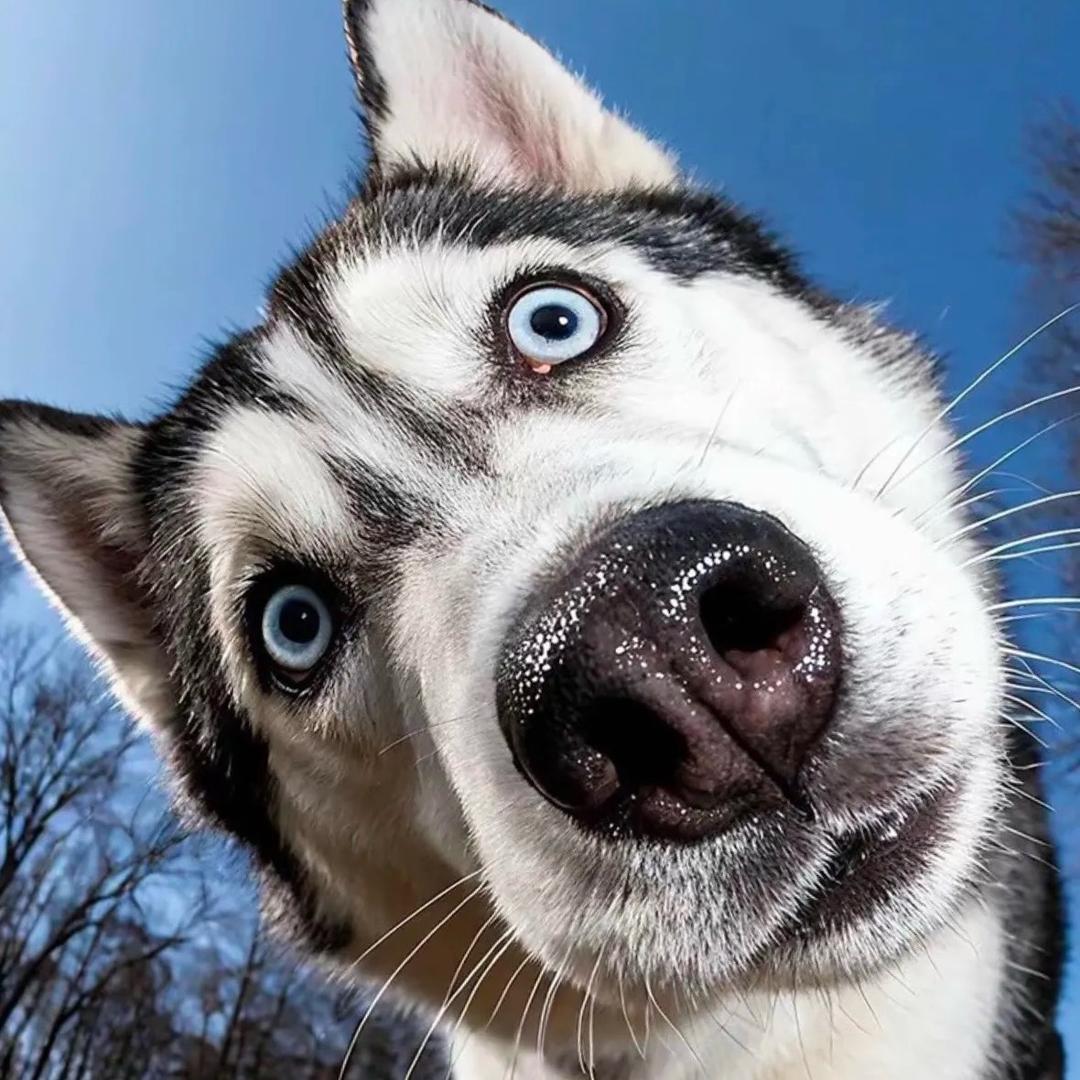 祖国山河一片红