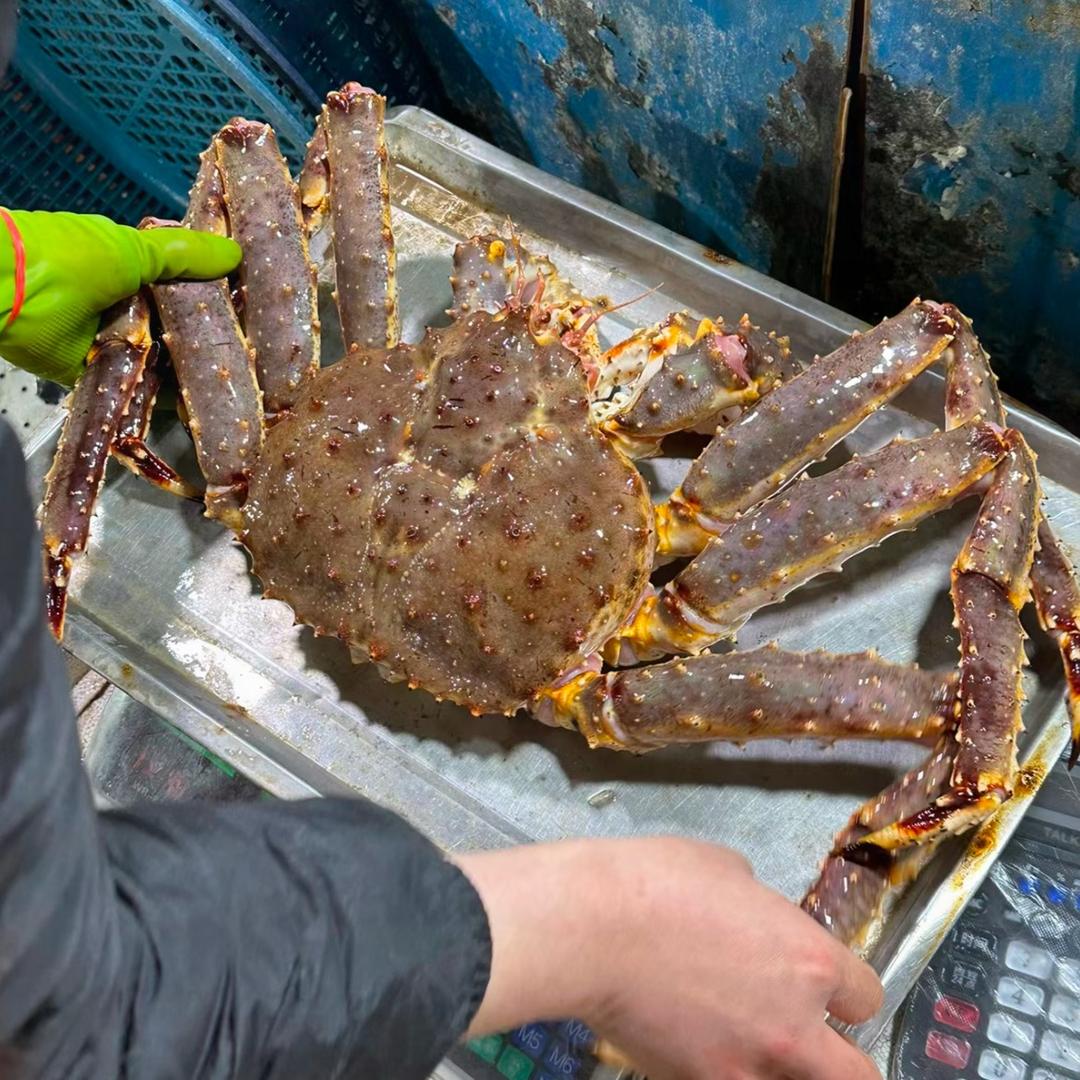 吉林珲春帝王🦀🦀