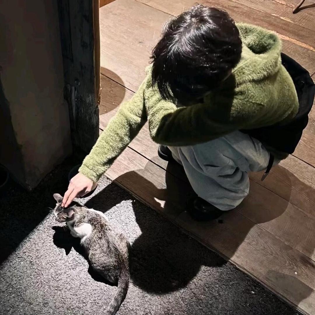 鱼点点