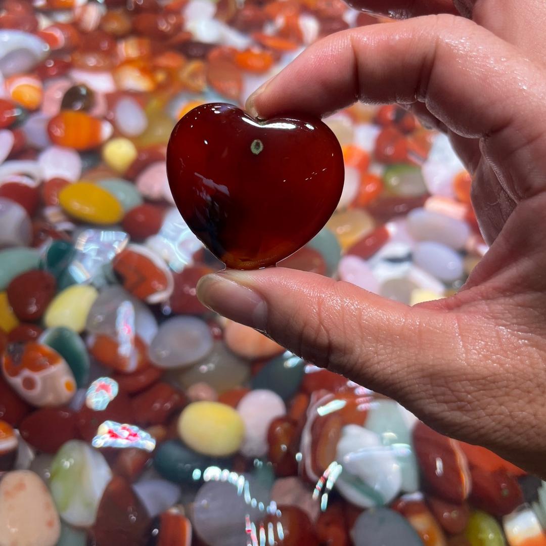 广州三宝名车配件