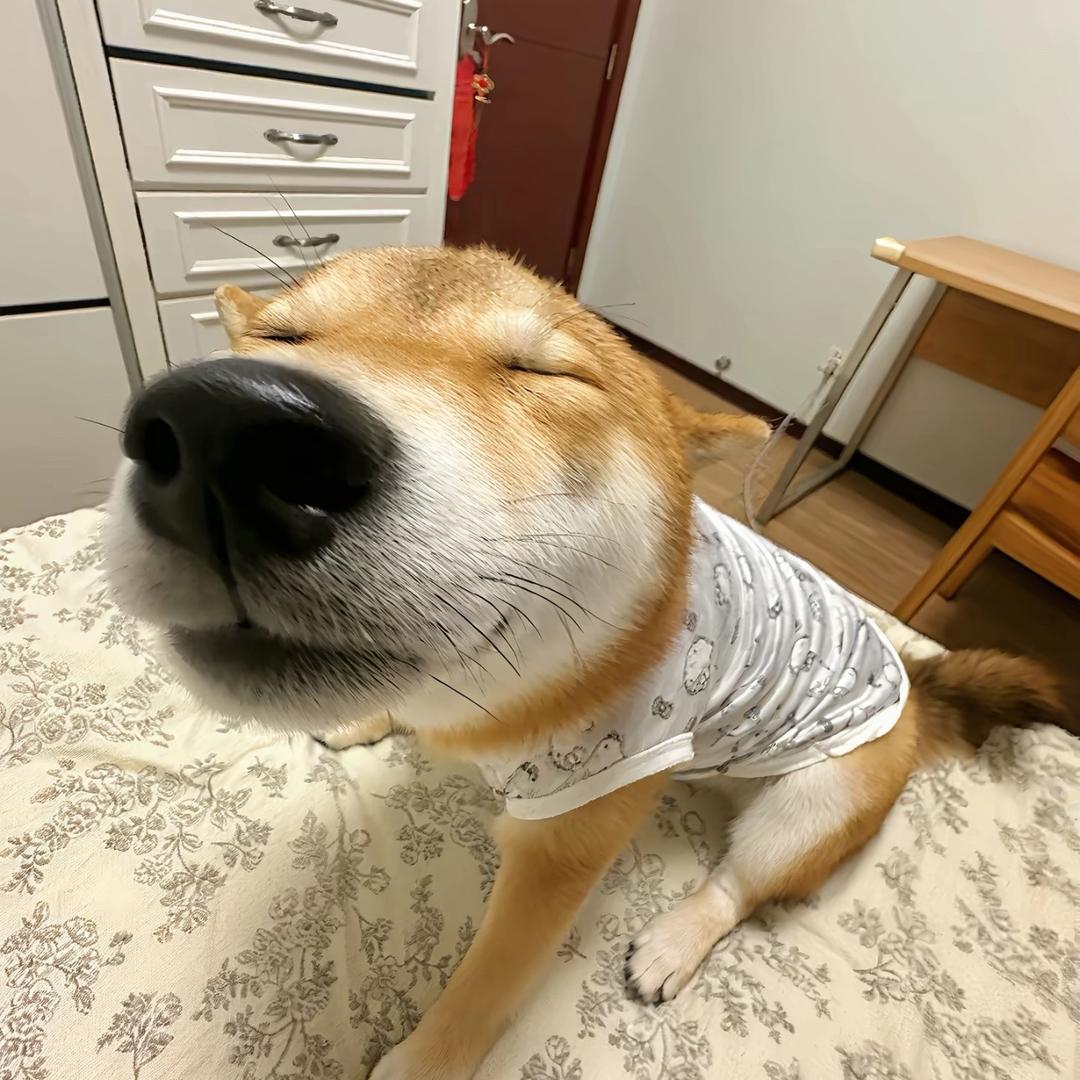 梨花诗.