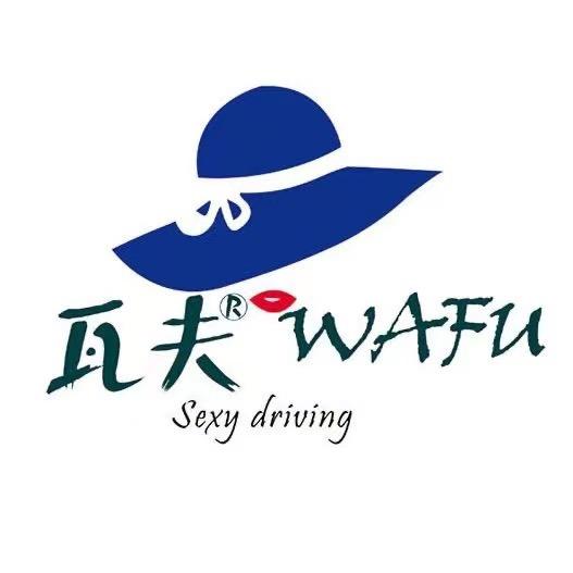 瓦夫汽车精护