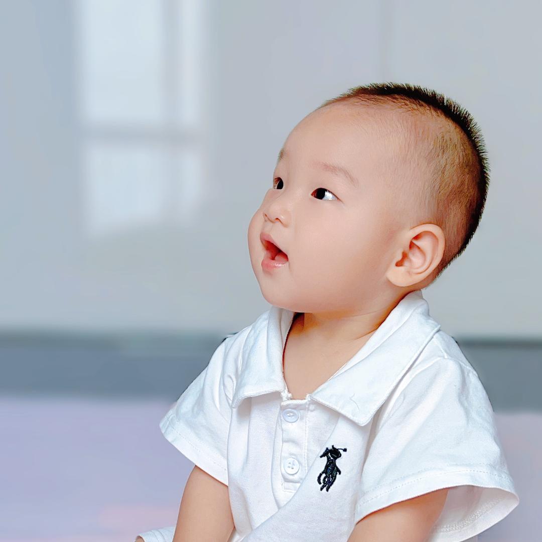 小奥迪（带娃中）