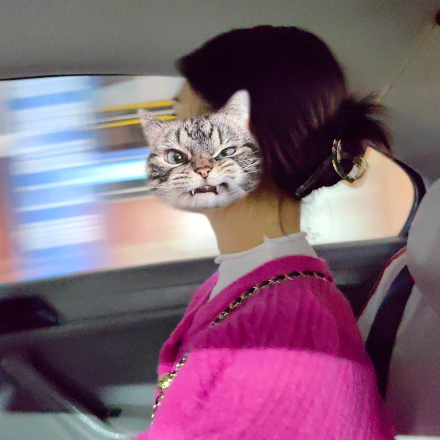 宿命