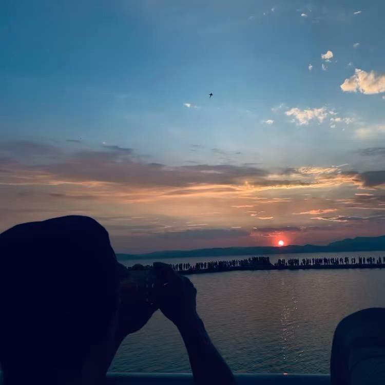 我又不乱来🫥