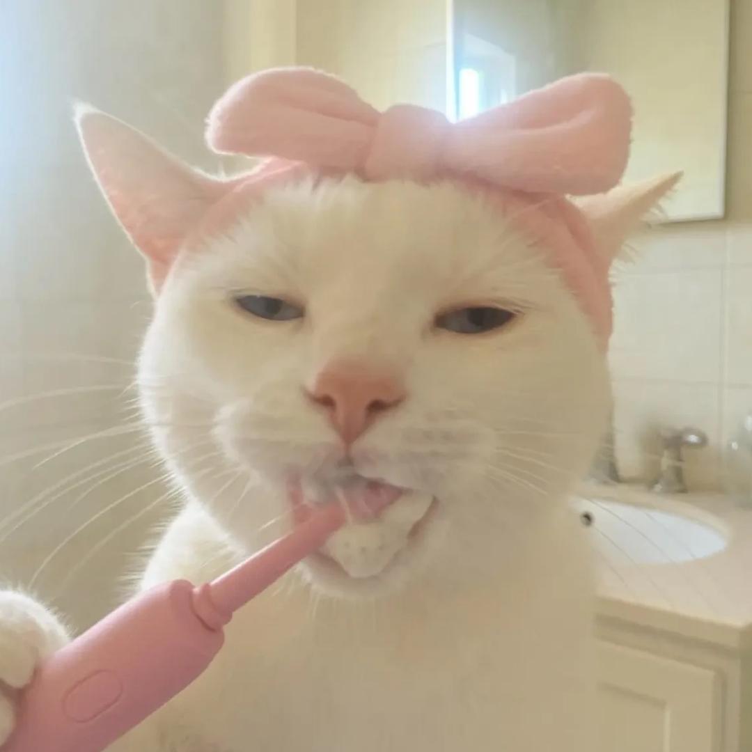 草履虫