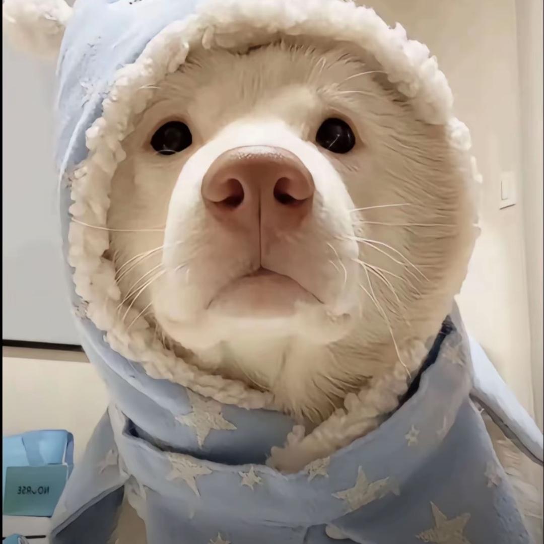 Starry