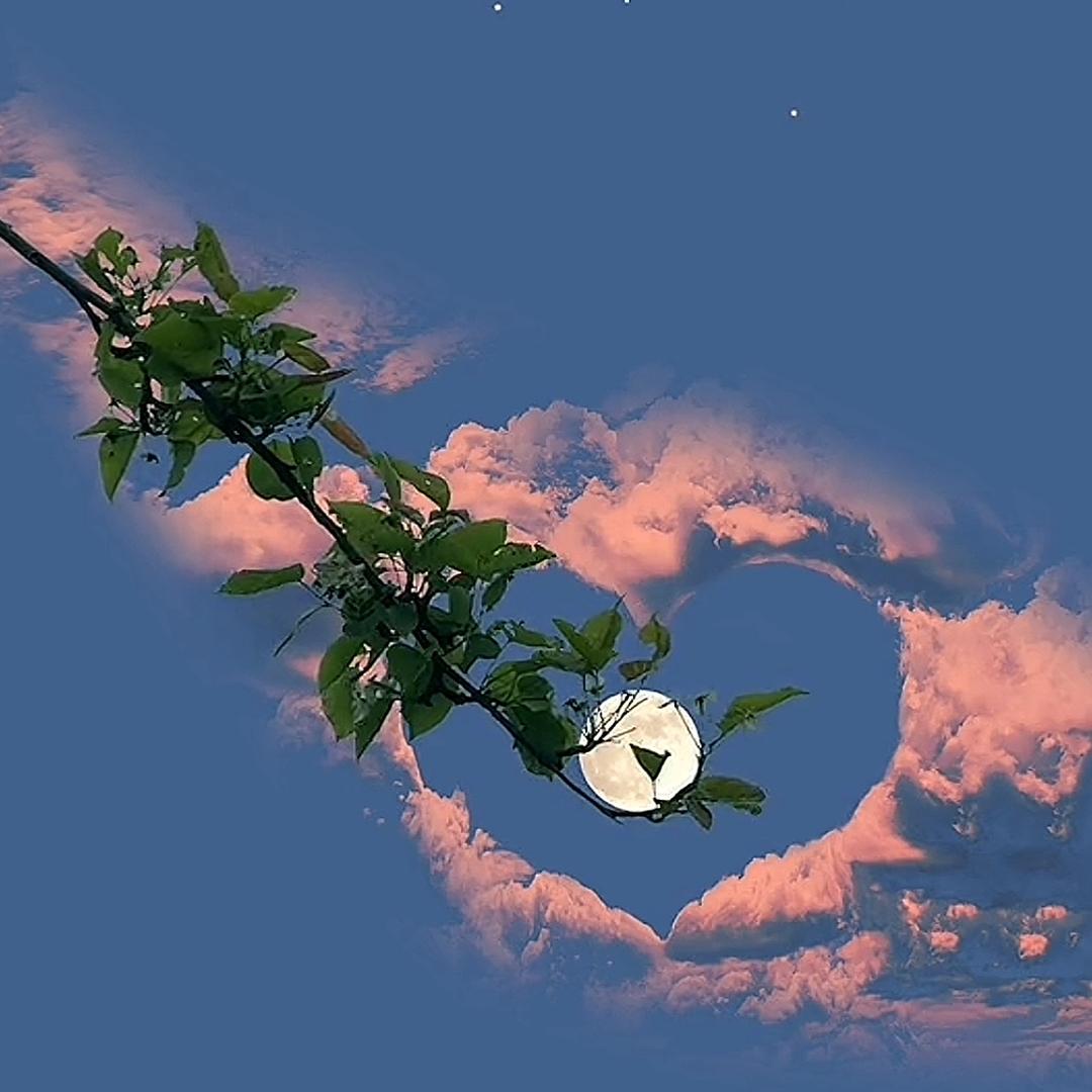 West Love forever🧸