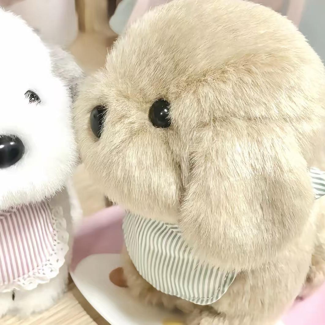 魂蛋