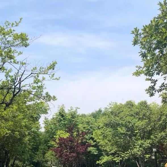 拉拉