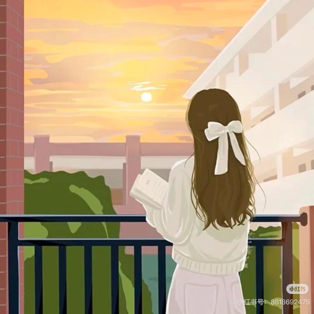 升学规划陈老师