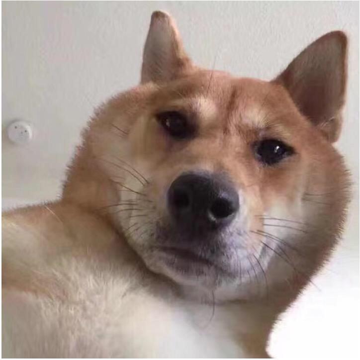 解压弟