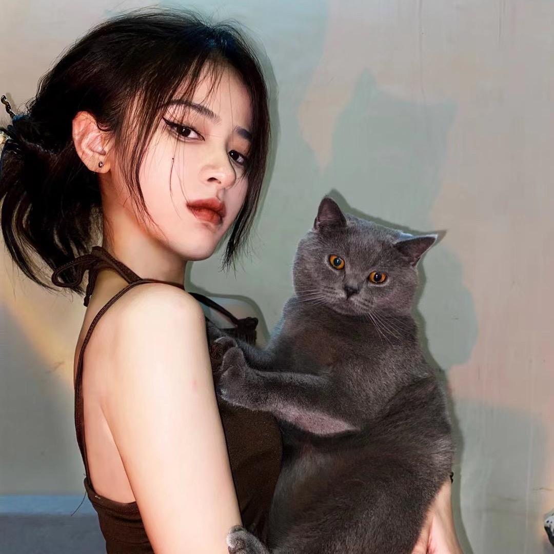 今晚吃香菜🇨🇳