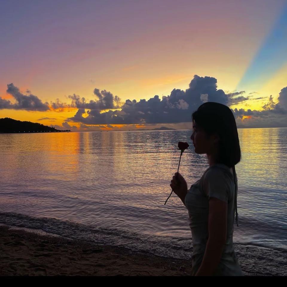 、🌼᭄玫瑰Չᐝ࿐ᩚ